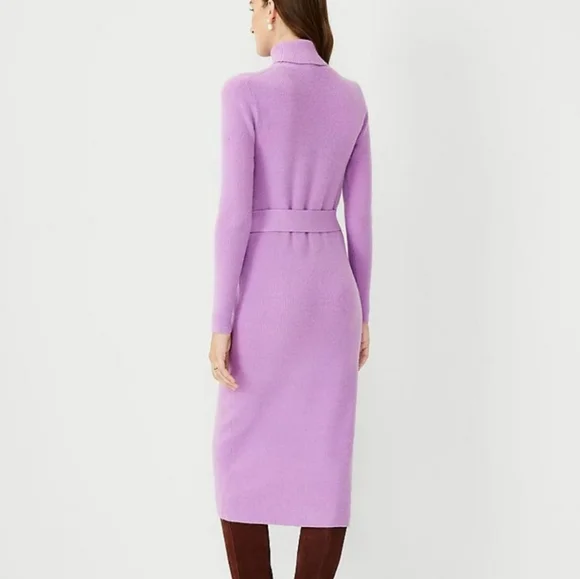 NWT Ann Taylor Belted Turtleneck Sweater Dress - Picture 2 of 5